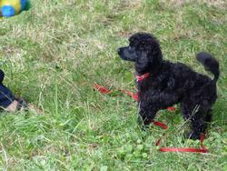 Clic pour agrandir l'image (1024x768 pixels; 197 KB)