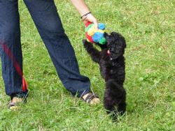 Clic pour agrandir l'image (1024x768 pixels; 203 KB)