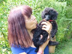 Clic pour agrandir l'image (1024x768 pixels; 158 KB)