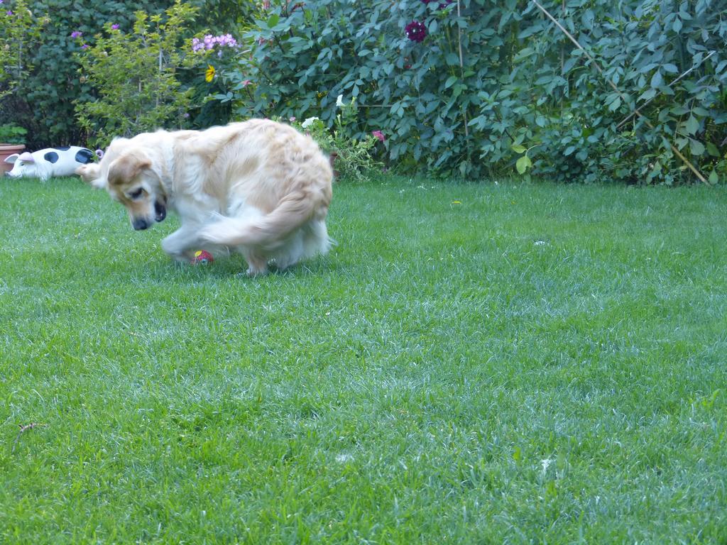 Clic pour l'image suivante