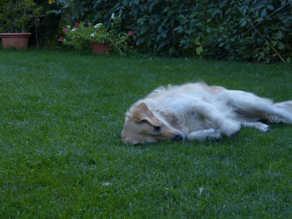 Clic pour l'image suivante