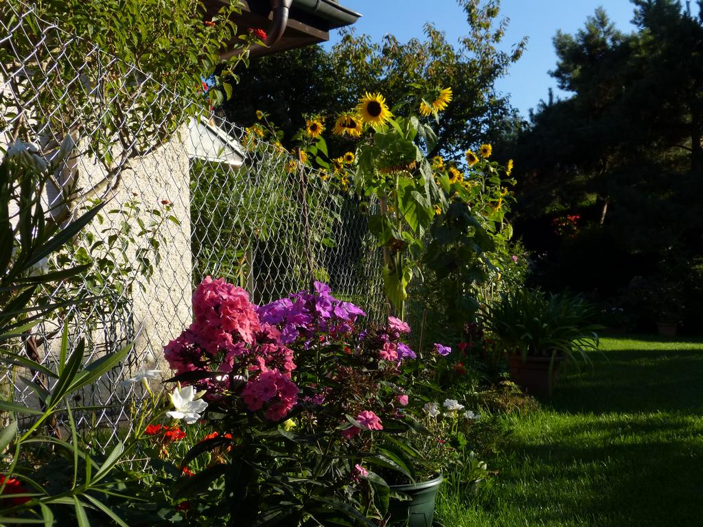 Clic pour l'image suivante