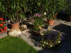 Clic pour agrandir l'image (1024x768 pixels; 204 KB)