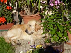 Clic pour agrandir l'image (1024x768 pixels; 180 KB)