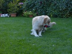 Clic pour agrandir l'image (1024x768 pixels; 156 KB)