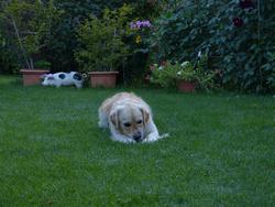 Clic pour agrandir l'image (1024x768 pixels; 146 KB)