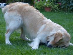 Clic pour agrandir l'image (1024x768 pixels; 96 KB)