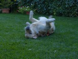 Clic pour agrandir l'image (1024x768 pixels; 126 KB)