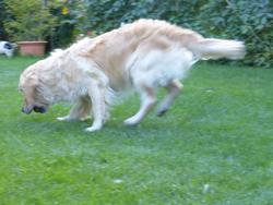 Clic pour agrandir l'image (1024x768 pixels; 91 KB)