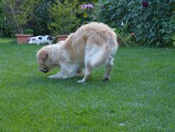 Clic pour agrandir l'image (1024x768 pixels; 159 KB)