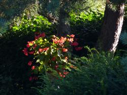 Clic pour agrandir l'image (1024x768 pixels; 153 KB)