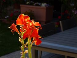 Clic pour agrandir l'image (1024x768 pixels; 58 KB)