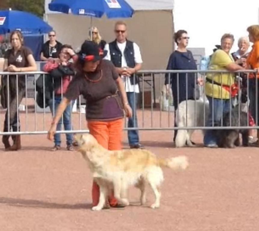 Clic pour l'image suivante