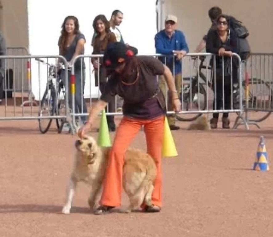 Clic pour l'image suivante