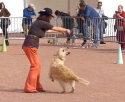 Clic pour agrandir l'image (938x768 pixels; 70 KB)