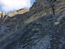 Clic pour agrandir l'image (1024x768 pixels; 169 KB)