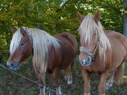 Clic pour agrandir l'image (1024x768 pixels; 178 KB)