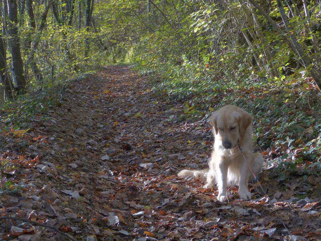 Clic pour l'image suivante