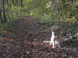 Clic pour agrandir l'image (1024x768 pixels; 214 KB)