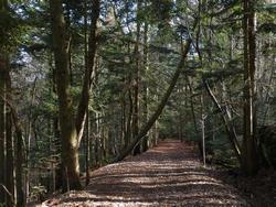 Clic pour agrandir l'image (1024x768 pixels; 236 KB)