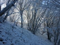 Clic pour agrandir l'image (1024x768 pixels; 216 KB)