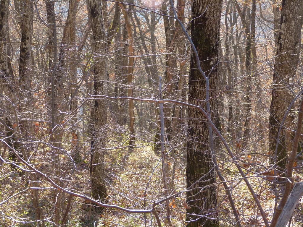 Clic pour l'image suivante