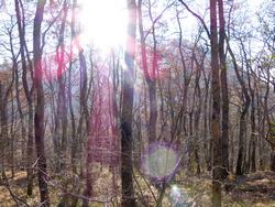 Clic pour agrandir l'image (1024x768 pixels; 244 KB)