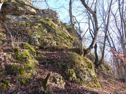 Clic pour agrandir l'image (1024x768 pixels; 295 KB)