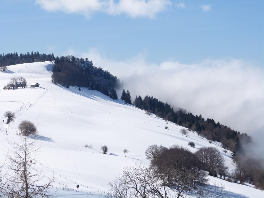 Clic pour l'image suivante