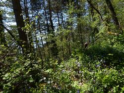 Clic pour agrandir l'image (1024x768 pixels; 296 KB)