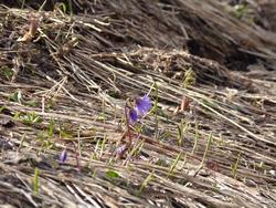 Clic pour agrandir l'image (1024x768 pixels; 185 KB)