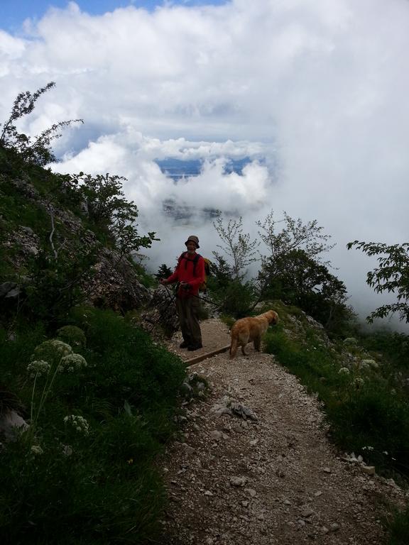 Clic pour l'image suivante