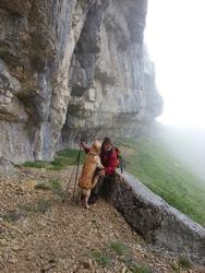 Clic pour agrandir l'image (576x768 pixels; 98 KB)