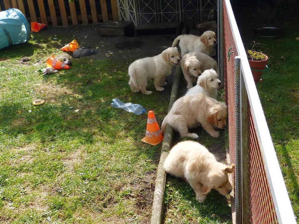 Clic pour l'image suivante