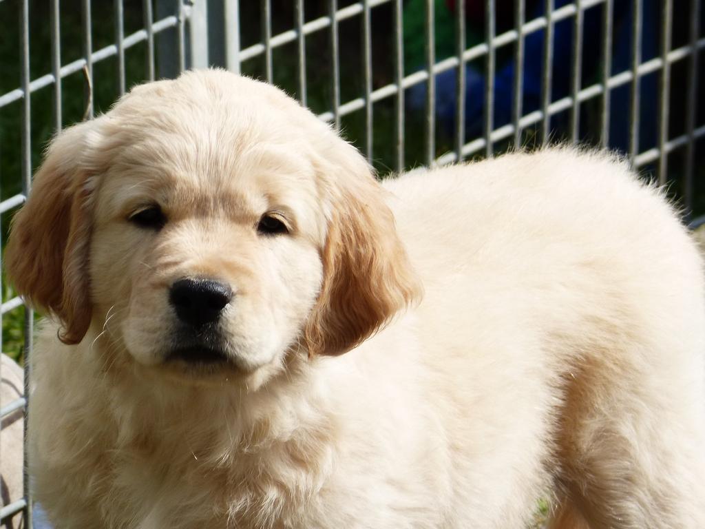 Clic pour l'image suivante