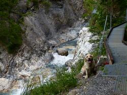 Clic pour agrandir l'image (1024x768 pixels; 191 KB)