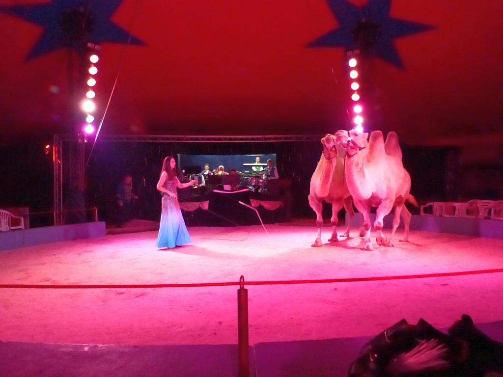 Clic pour l'image suivante