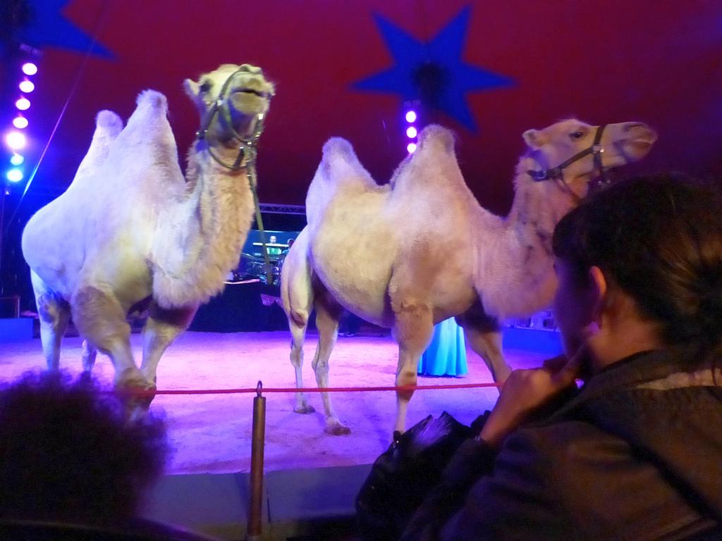 Clic pour l'image suivante