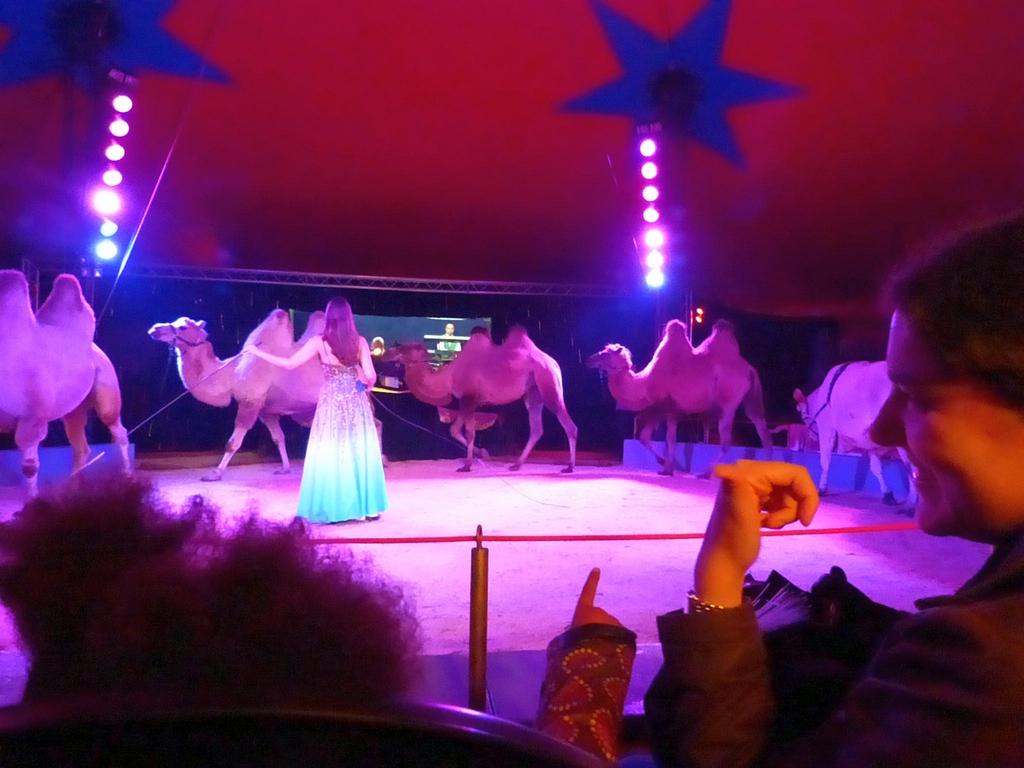 Clic pour l'image suivante