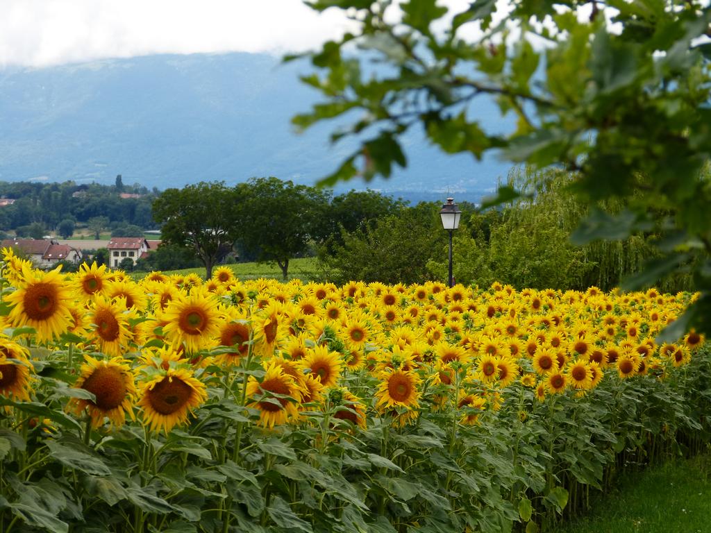 Click to see next picture