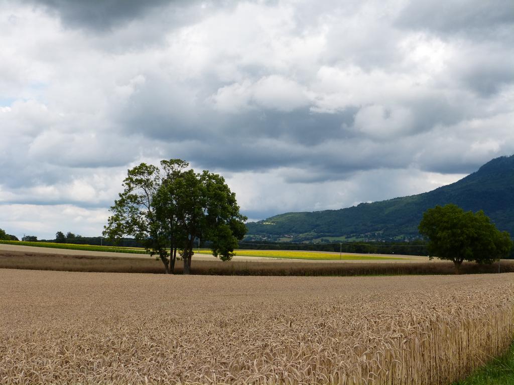 Click to see next picture