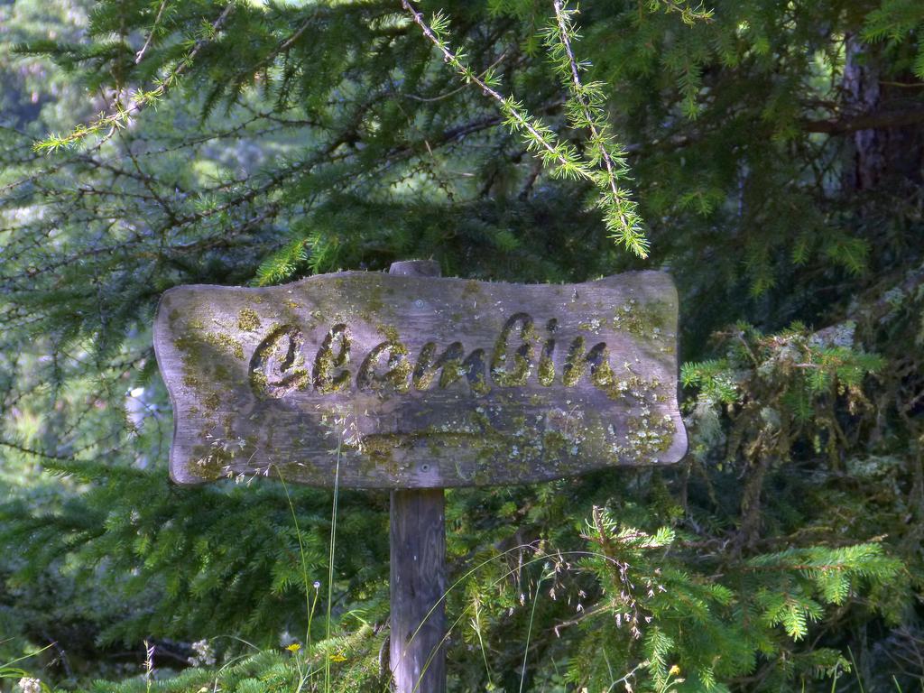 {Clic pour voir plus grand}