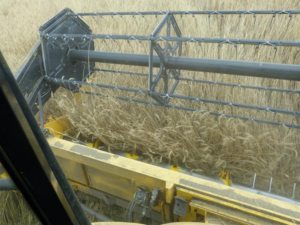 {Clic pour voir plus grand}