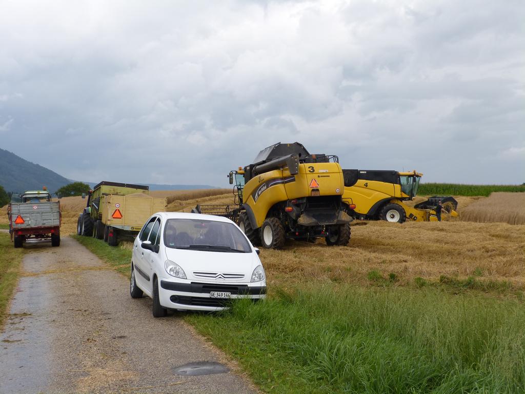 {Clic pour voir plus grand}