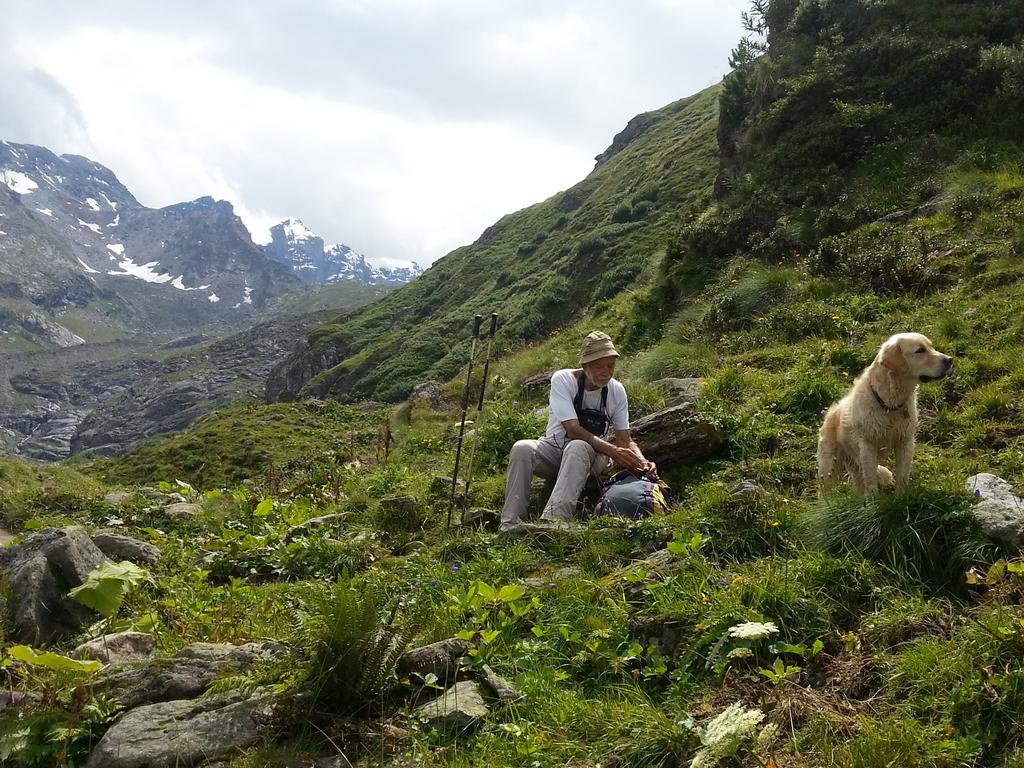 {Clic pour voir plus grand}