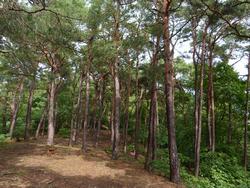 Click to see big picture (1024x768 pixels; 239 KB)