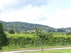 Click to see big picture (1024x768 pixels; 136 KB)