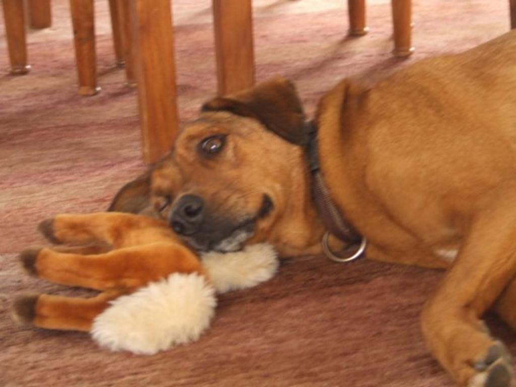 {Clic pour voir plus grand}