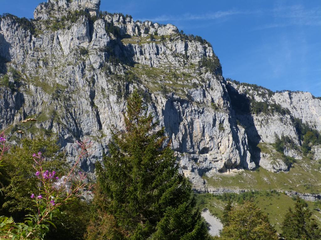 {Clic pour voir plus grand}