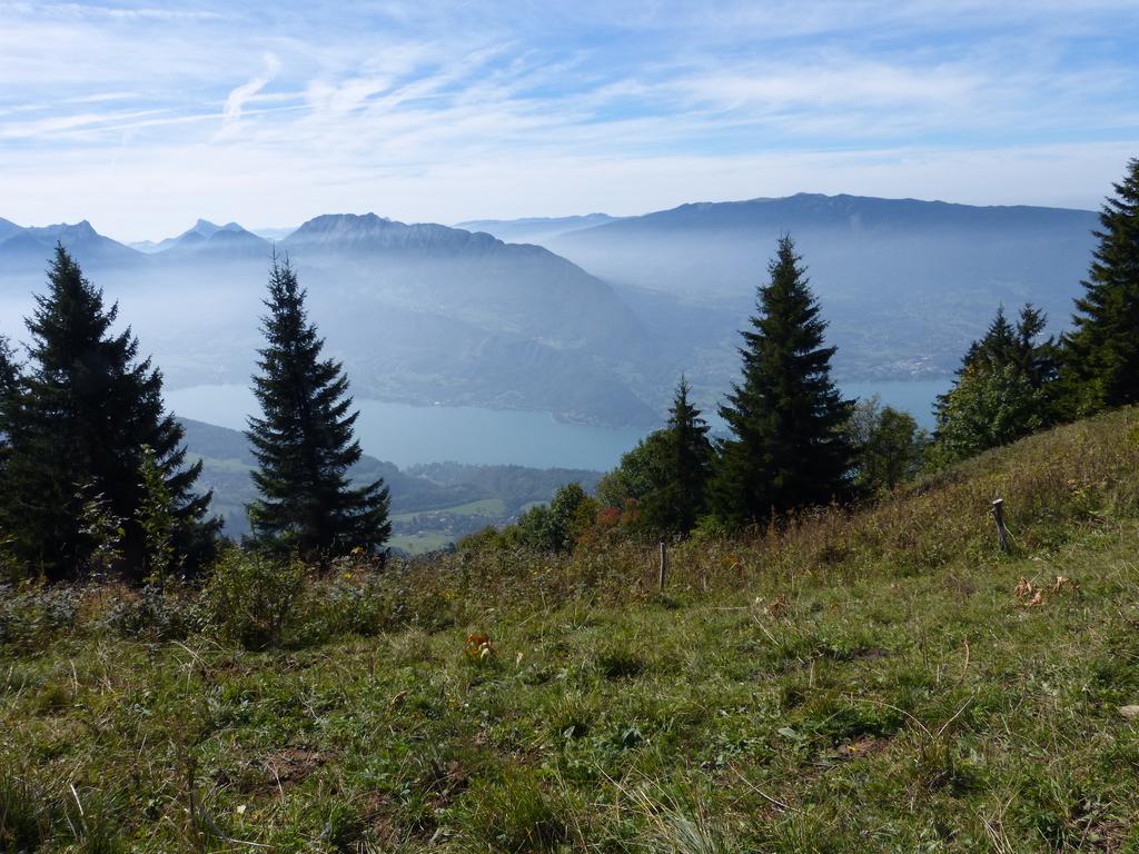 {Clic pour voir plus grand}